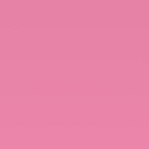 Meet your Posher, Princess